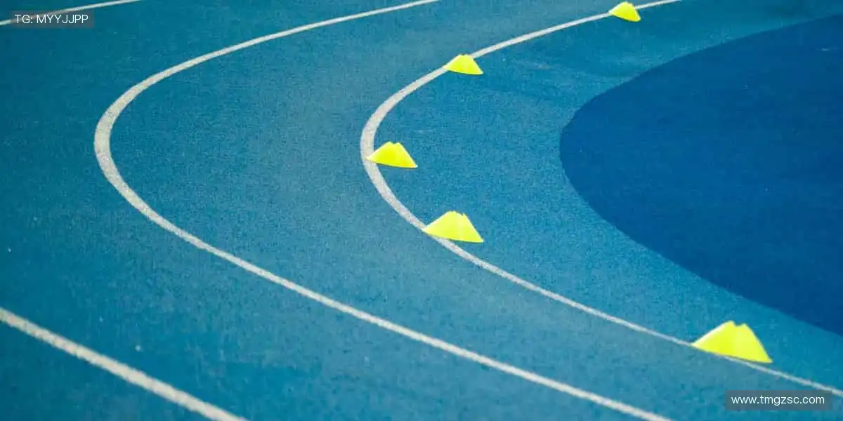 热血赛事，激情碰撞！⚽🏀